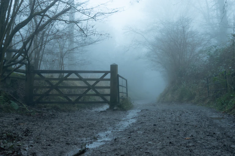 A misty dirt road.