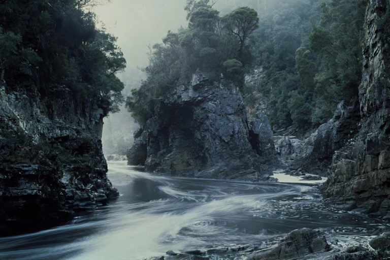 rocks and trees at swirling river bend