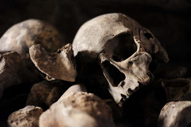 Photo of an old skull.