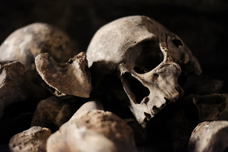Photo of an old skull.