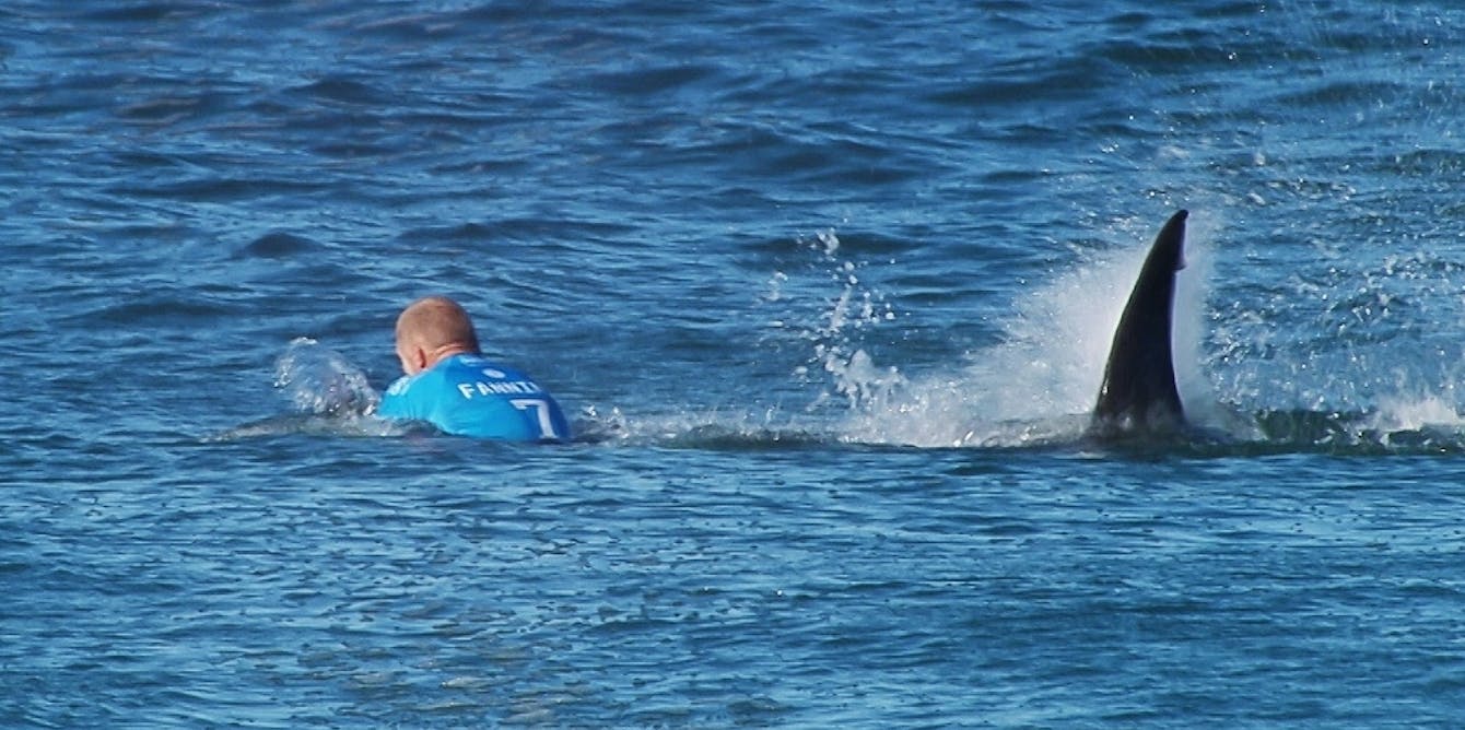 Seeking Safety in Big-Wave Surfing