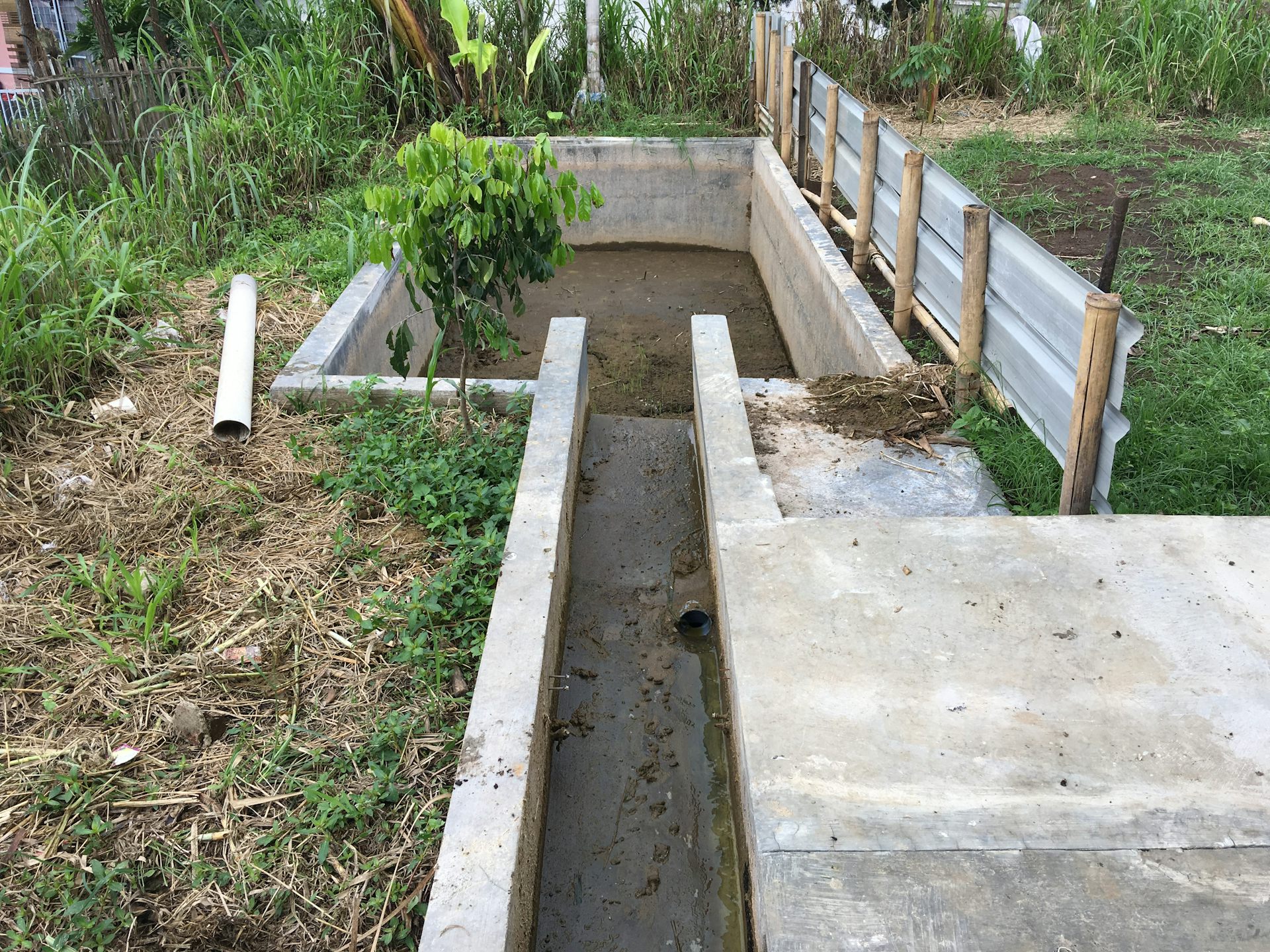 Biogas dari biodigester