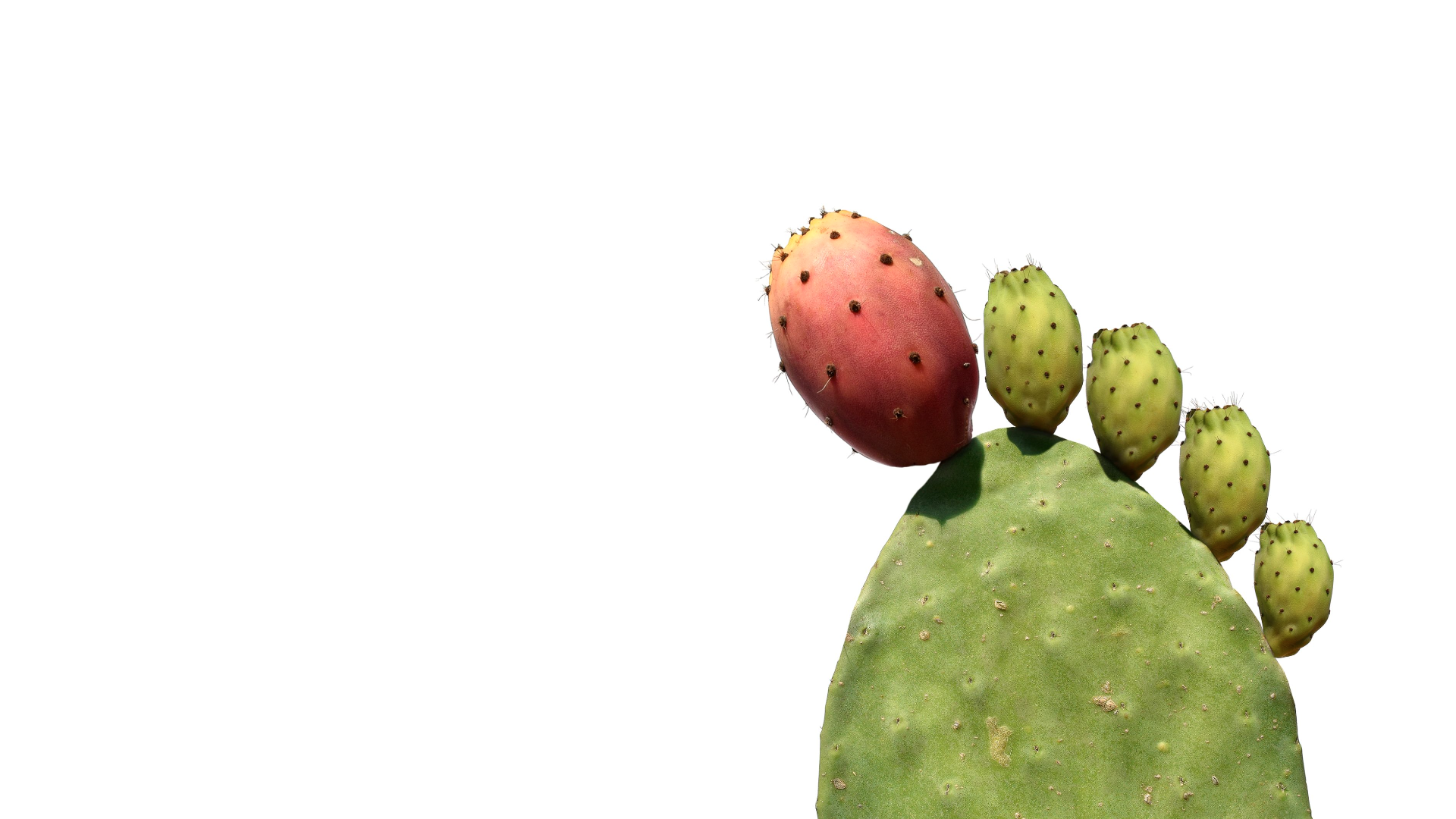 gota fría News, Research and Analysis The Conversation page 1