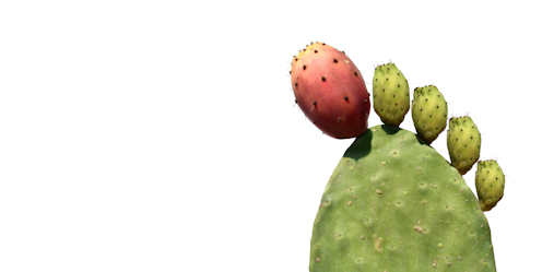 gota fría News, Research and Analysis The Conversation page 1