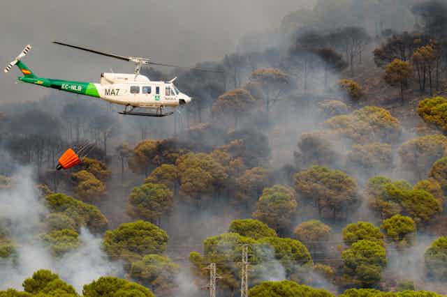 Helicopter flies over burning trees.