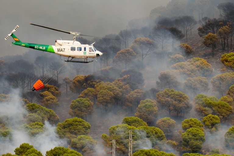 Helicopter flies over burning trees.