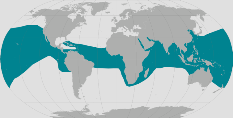 World map with tropical oceans highlighted