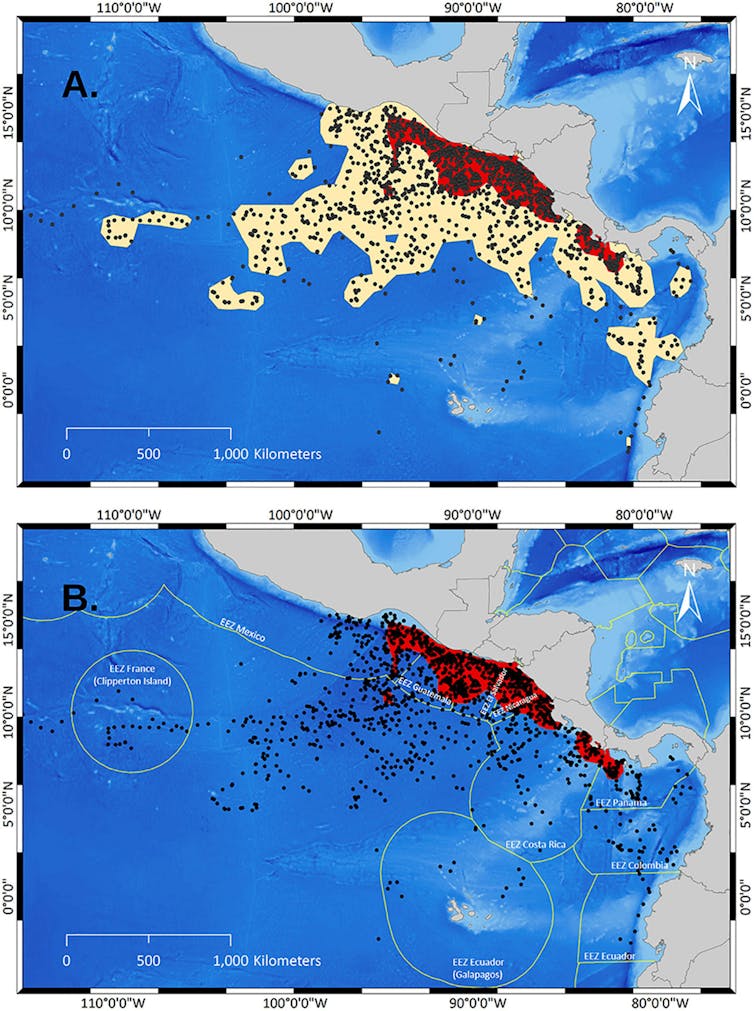 Map showing olive ridley distribution in the eastern Pacific