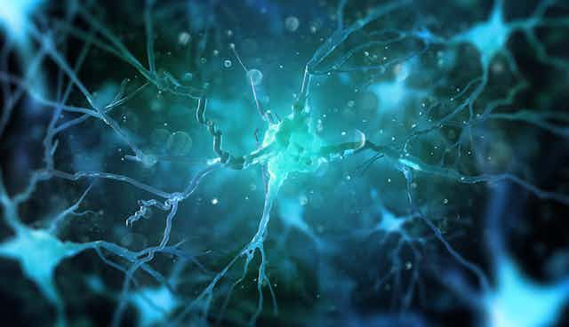 Neurons in the brain on dark backgroun.