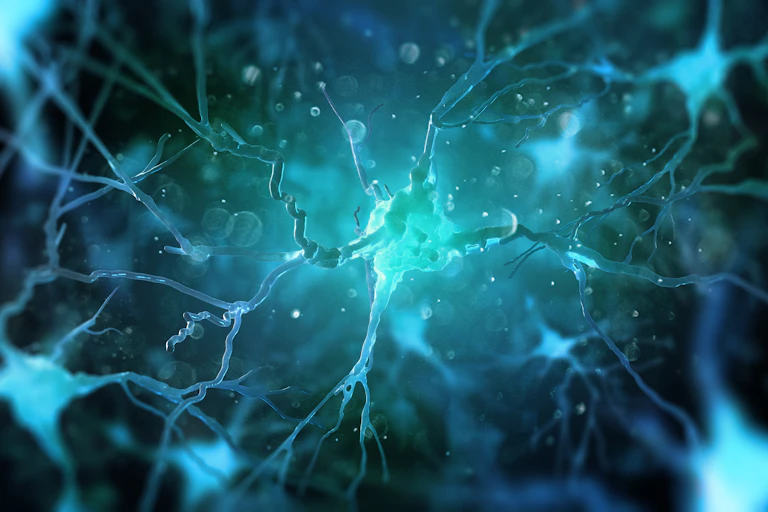 Neurons in the brain on dark backgroun.