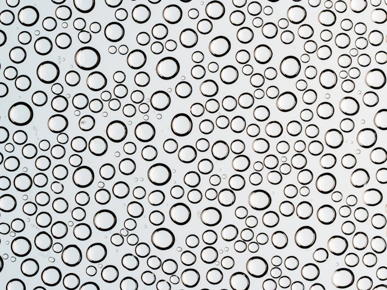 Close-up of water droplets against clear background
