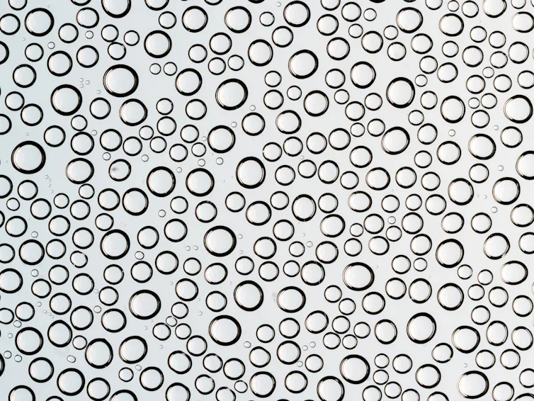 Close-up of water droplets against clear background