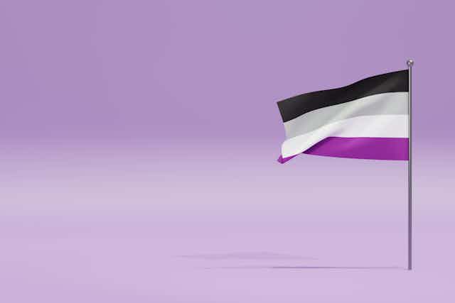 A black, gray, white and purple flag.