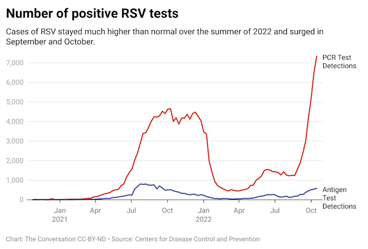 A chart showing the number of positive RSV tests from October 2020 to October 2022. One line shows the number of positive PCR detections and the other shows the number of antigen test detections.