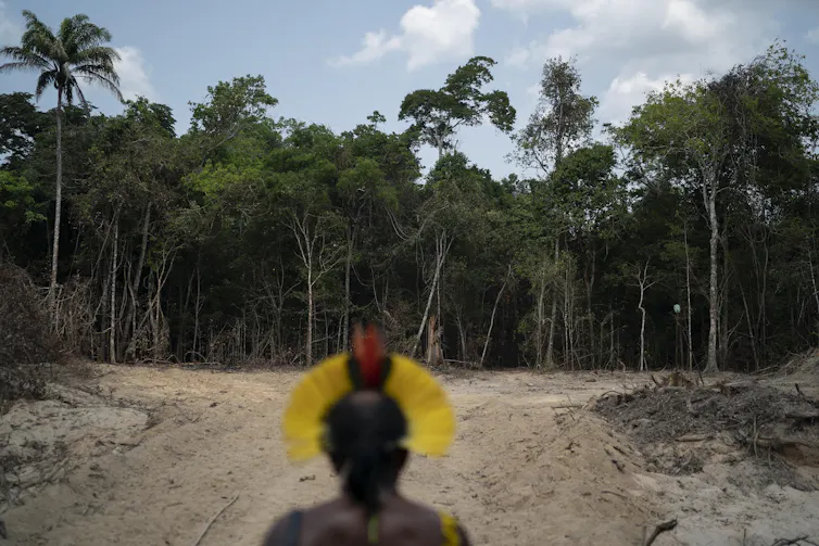El jefe indígena mira a lo largo de una pista de tala en la Amazonia