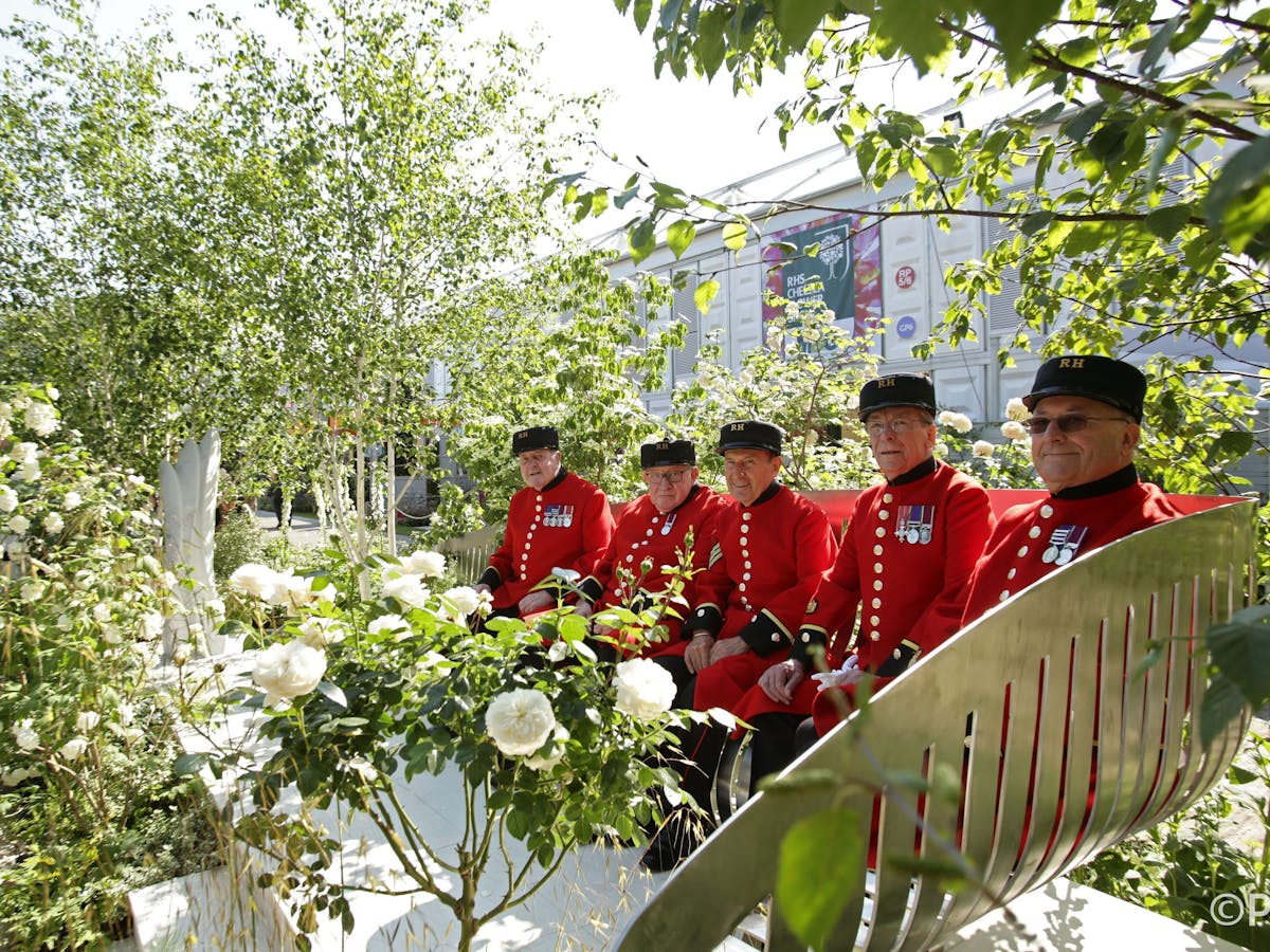 Horticulture impact on environment