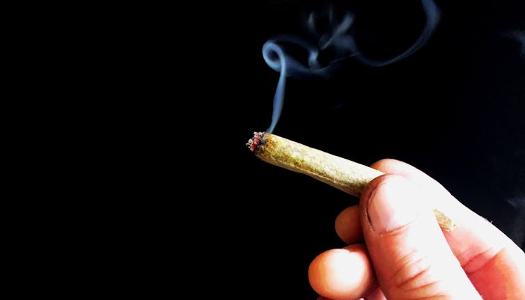 marijuana arrests