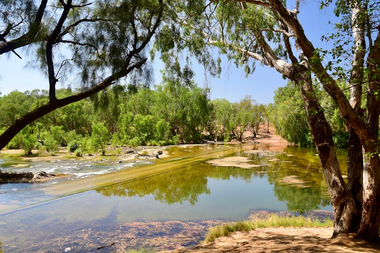 Two trees frame a shallow river