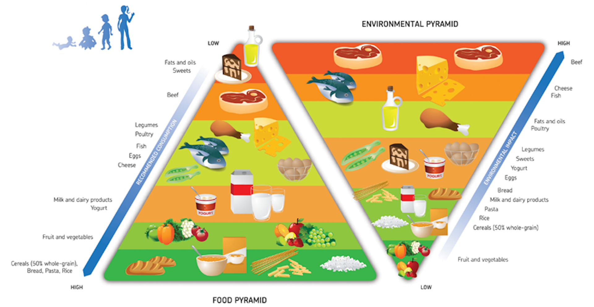 Australian Guide To Healthy Eating Pie Chart