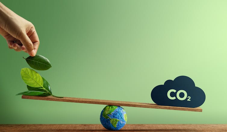 Balance 'see-saw' with green leaves on one side and carbon dioxide on the other.