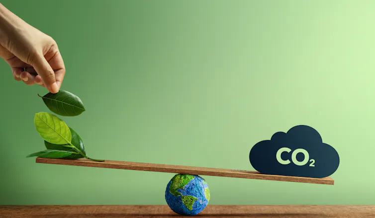 Balance 'see-saw' with green leaves on one side and carbon dioxide on the other.