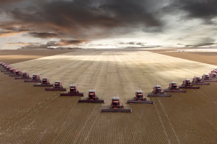 Tractors harvesting