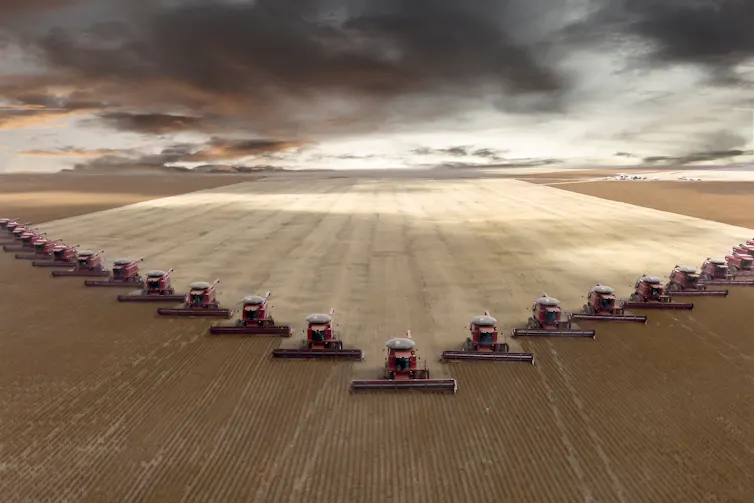 Tractors harvesting