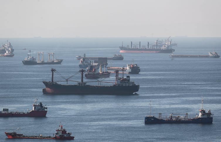 Cargo ships carrying Ukraine grain are anchored as they wait in line for the inspection on the Marmara sea, Istanbul, Turkey, 22 October 2022.