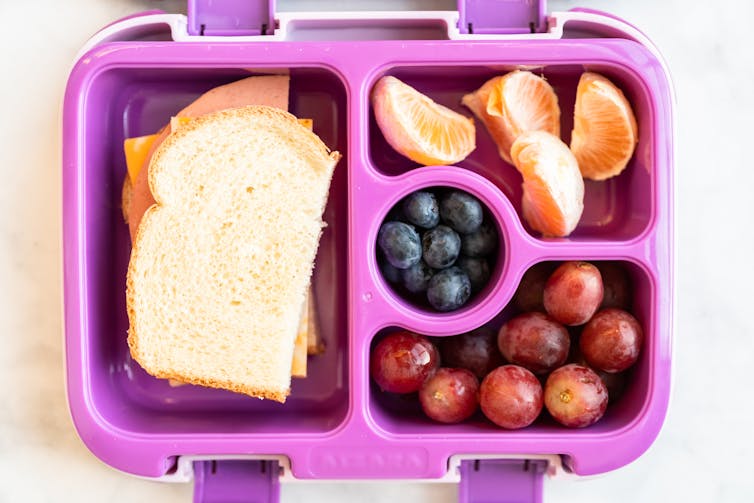 Lunch box with a sandwich and fruit.