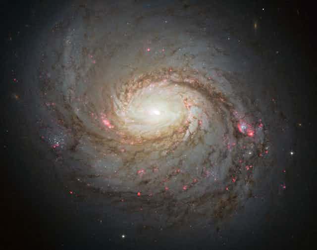 A photo of a swirling galaxy in space.