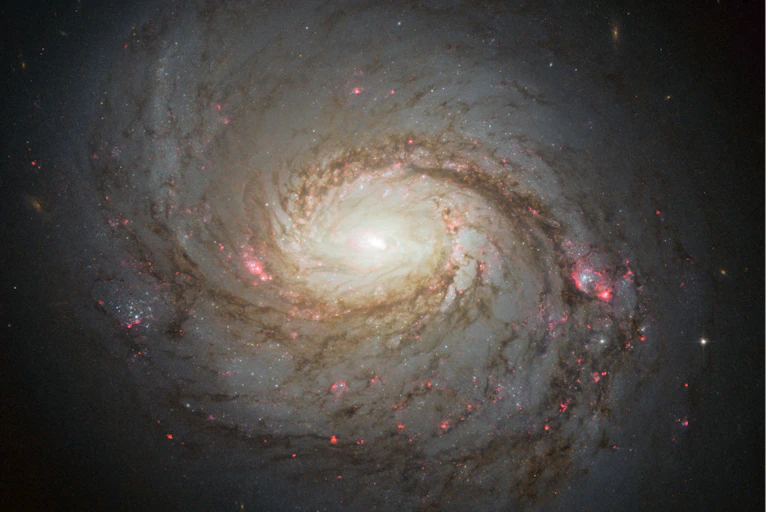 A photo of a swirling galaxy in space.