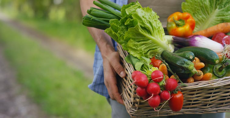 a person holding basket of veggies