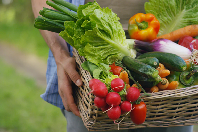 Basket of vegetables