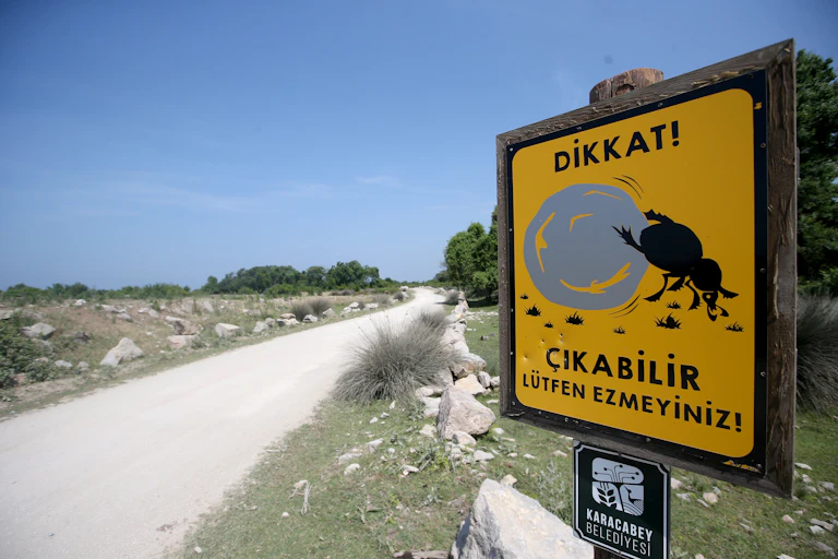 A sign shows a beetle pushing a large gray sphere