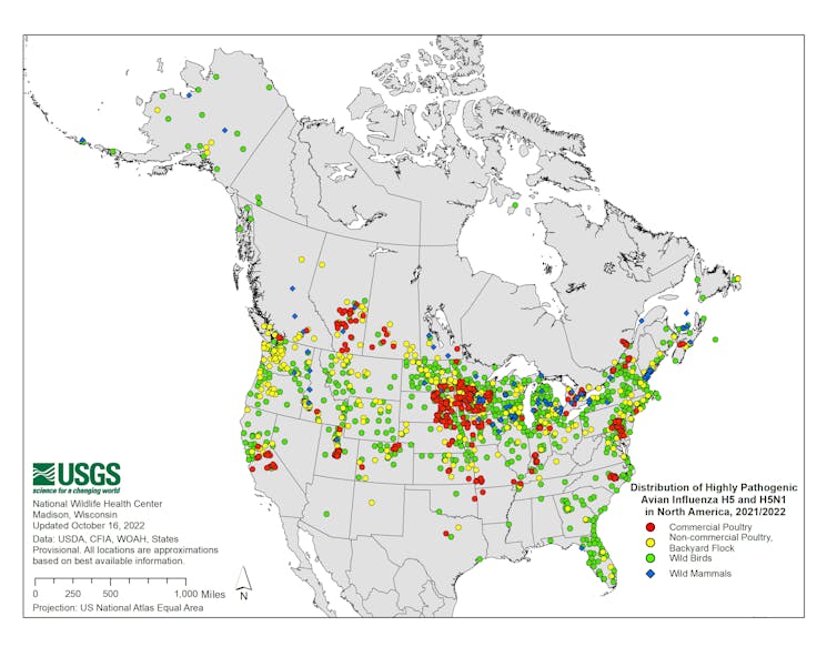 Map of US and Canada showing avian influenza distribution among commercial, backyard and wild bird flocks.