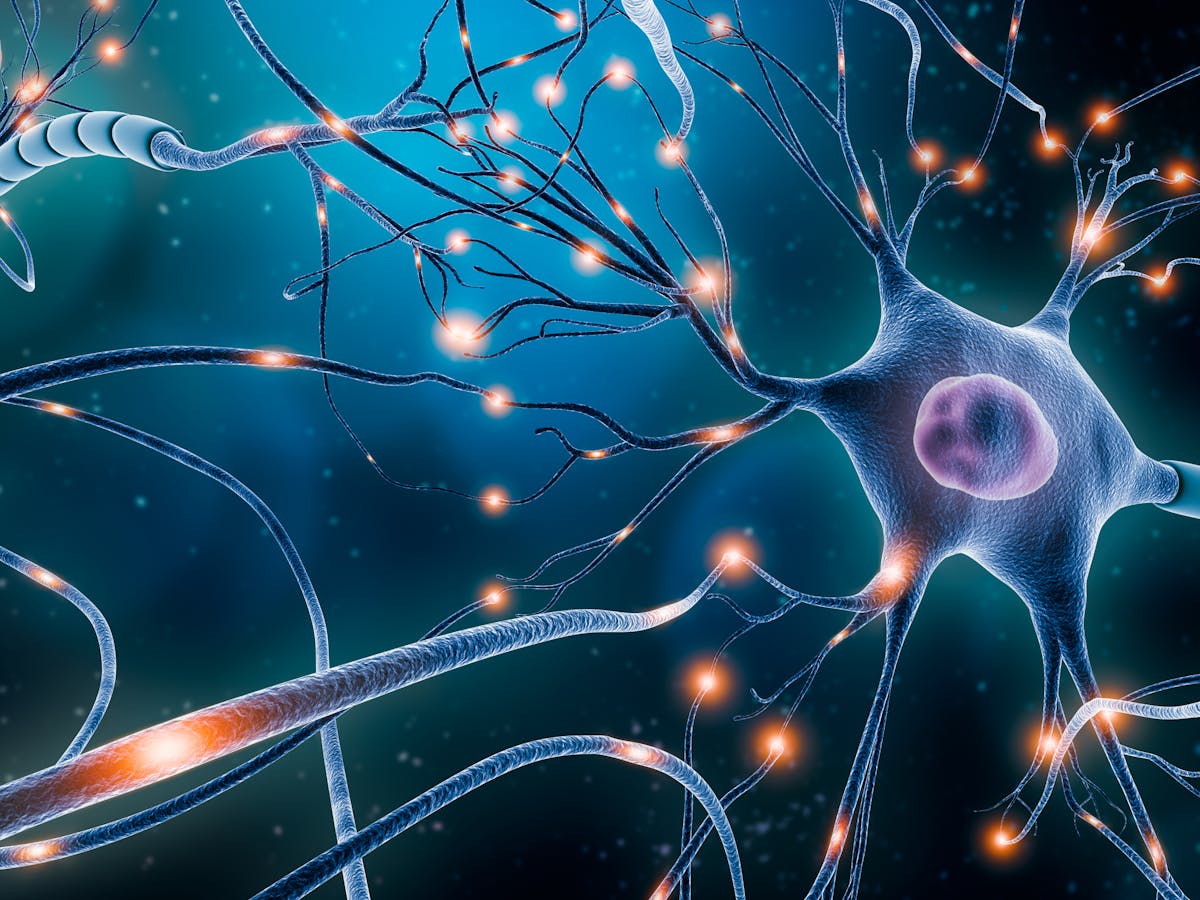 Epilepsy brain cells Epilepsy overacting brain cells