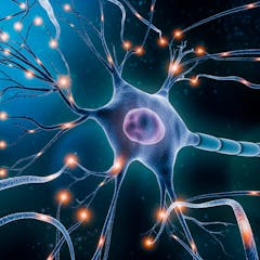research articles about neurons