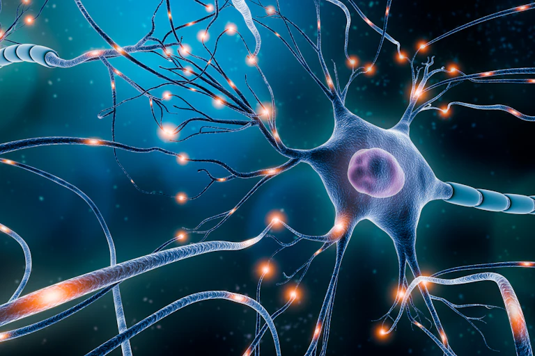 An artistic illustration of a brain neuron sending electrical signals throughout the neuronal network.