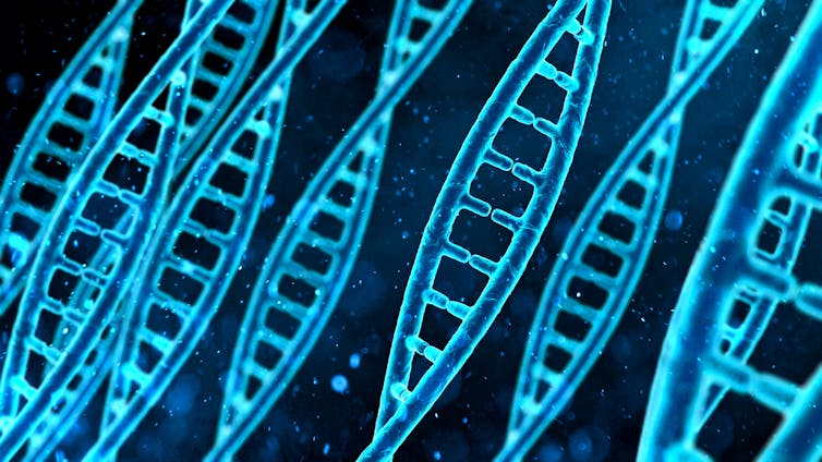 Un'immagine di più filamenti di DNA.