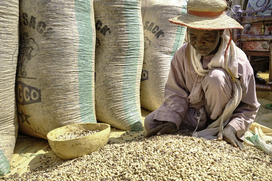 Man sifting through beans on the floor, beside bags of beans.