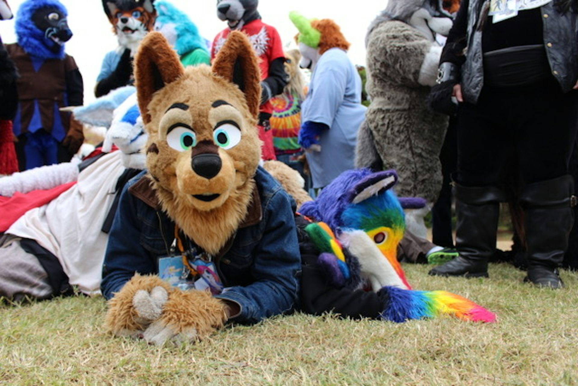 What Are 'furries?' Debunking Myths About Kids…