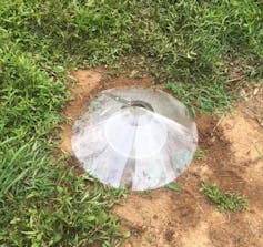 A cone-shaped cover placed in a patch of dirt