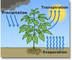 Graphic showing precipitation, evaporation and transpiration between soil and the atmosphere
