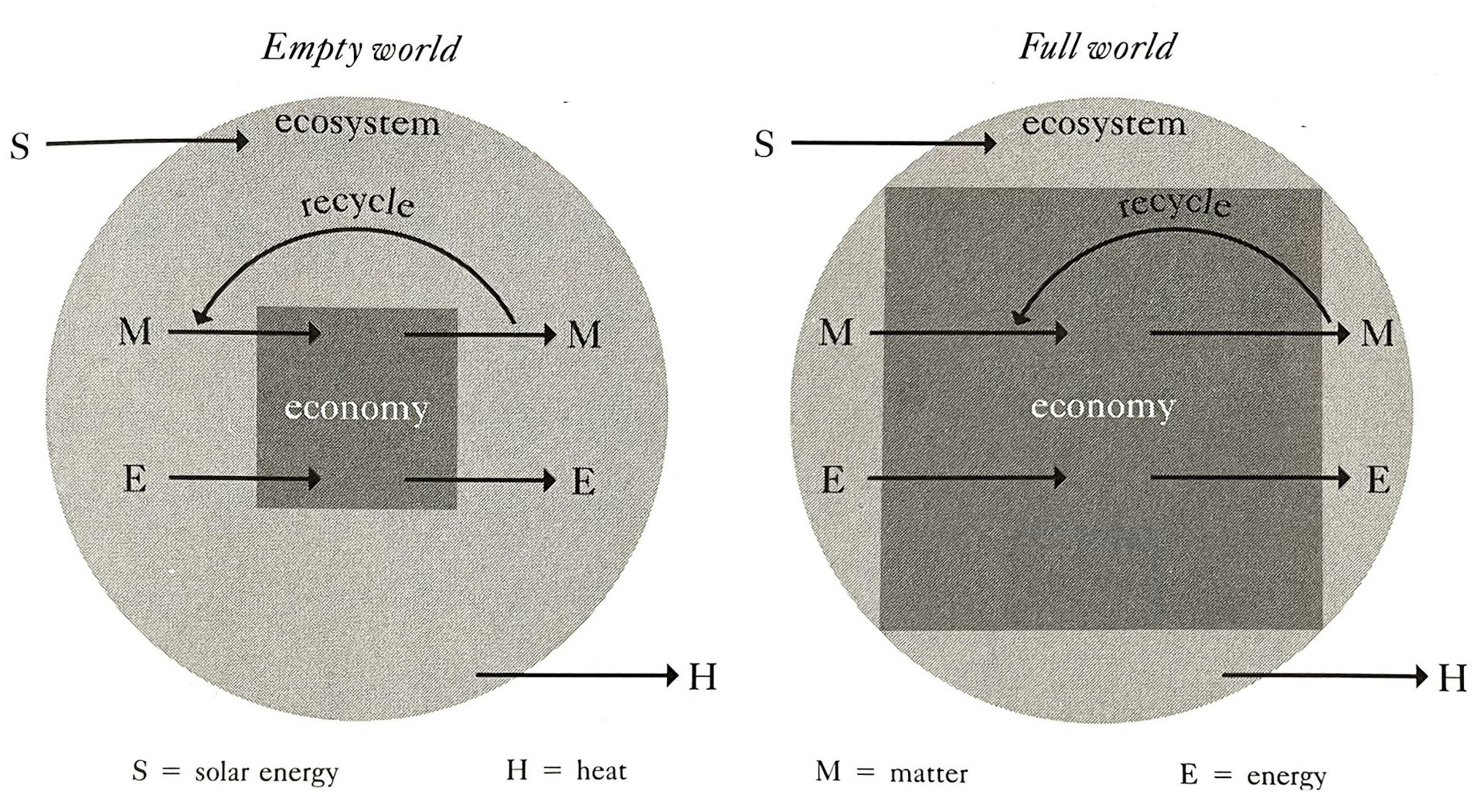 The Inconvenient Truth Of Herman Daly: There Is No Economy Without ...