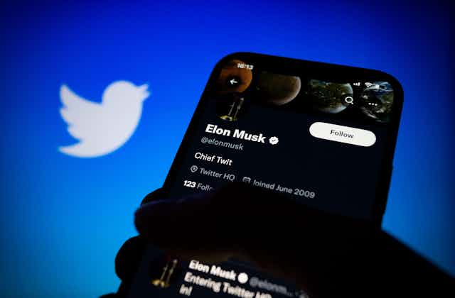 Smartphone with Elon Musk's Twitter profile showing "Chief Twit" following purchase of company in October 2022, blue background with Twitter bird logo.