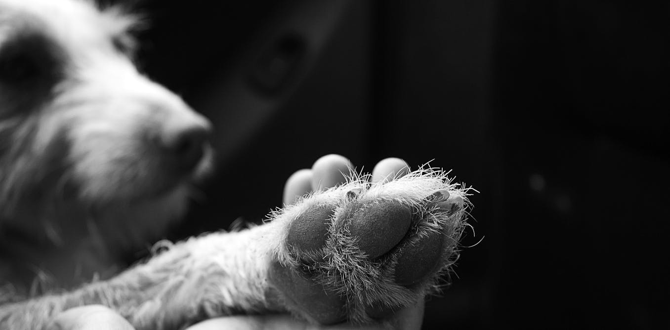 Attachment Attachment