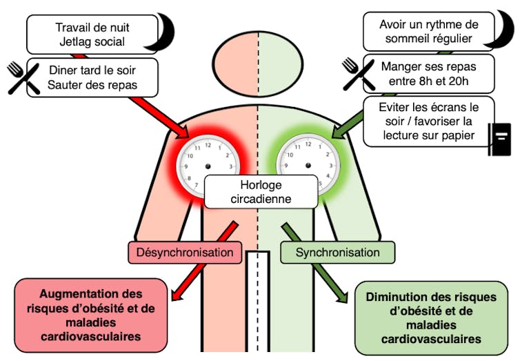 Travailler de nuit ou dîner tard est perturbant pour notre horloge interne