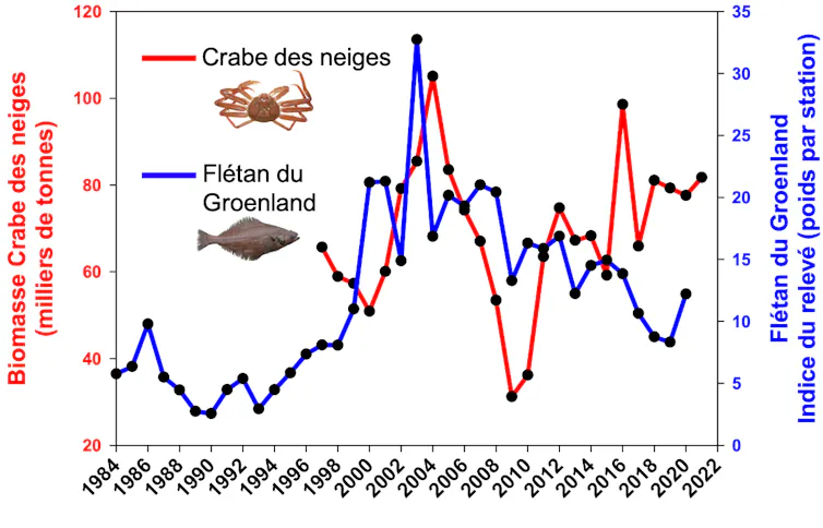 graphique présentant l’évolution de l’abondance du crabe des neiges et du flétan