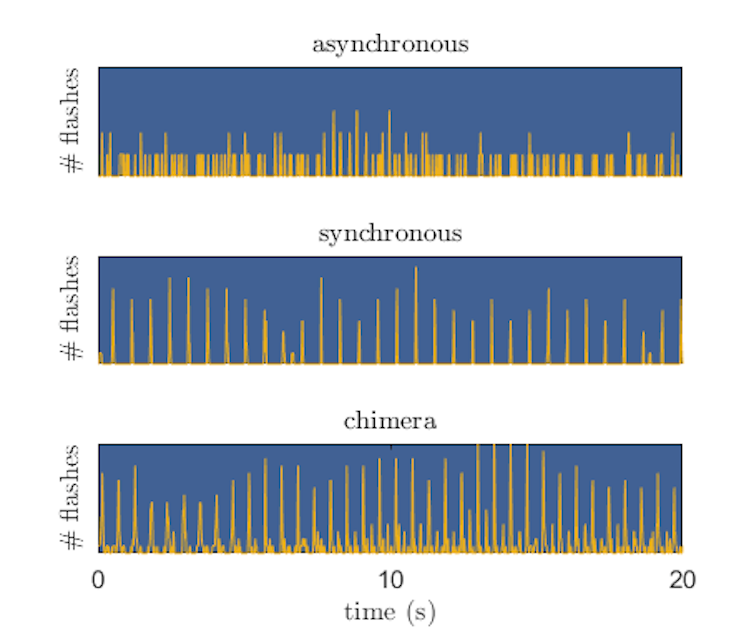 Time series of asynchronous, synchronous and chimera patterns