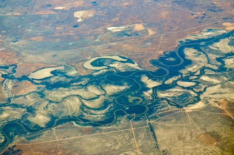 riverina murray floodplains